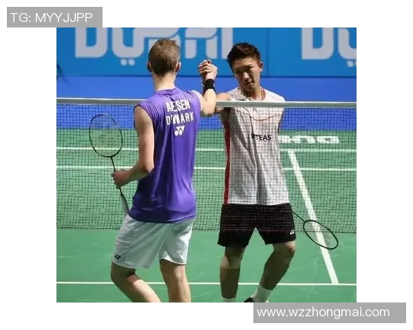 南京羽毛球队速度对比深度解析与战术优势探讨